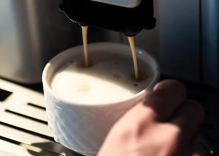 Aparthotel Kurort Stara Wedzarnia 4*